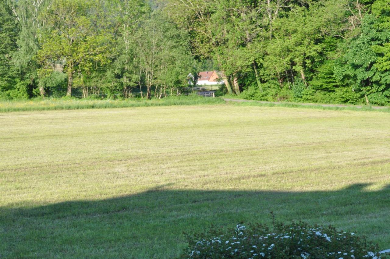 Ferienwohnung Fischer Frickingen エクステリア 写真